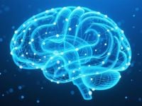 The Brain: From Black Box to Engineering Question