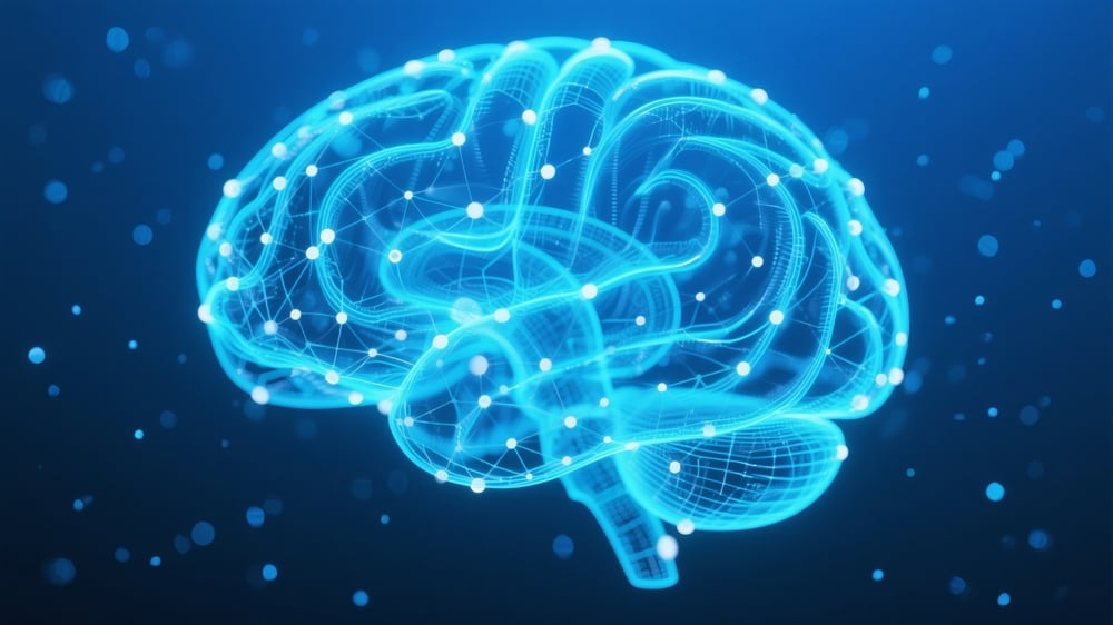 The Brain: From Black Box to Engineering Question