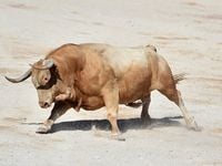 Decoding the Small Cap Bull Case