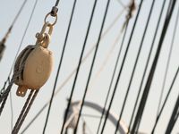 TACK Portfolio Manager Commentary: January 2026