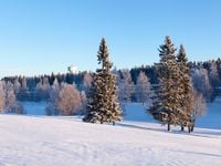 Meet These January ETF Newcomers
