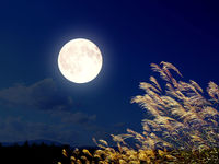 To the Moon: Nuclear Energy’s New Frontier