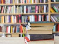 Direxion’s Sparks Talks Advisor Education