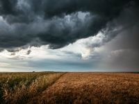 Calm the Volatility Storm With These 2 ETFs