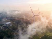 The Fog of the Energy Shock