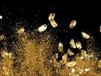 Gold’s A+ Performance in 2025, Portfolio Implications