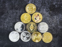 Altcoins Emerge as Contrarian Crypto Idea