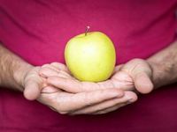 Apple Perspective Could Put These ETFs in Focus
