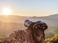Beyond JEPI: Exploring JP Morgan's Active ETF Bench