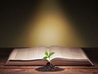 Faith Meets Fundamentals: Timothy Plan Launches 3 New ETFs
