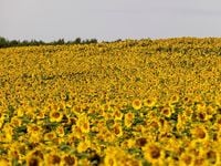 High-Yield Prospects: May 13 Edition