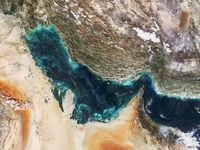 Volatility Shifts Focus to CCNR