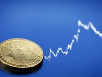 Volatility Is a Feature, Not a Bug