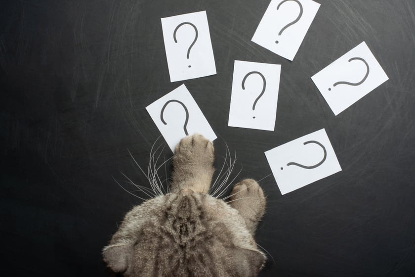 Are There Too Many ETFs?