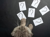 Are There Too Many ETFs?