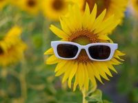 How BMOP Tackles Summer Opportunities