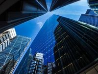 Navigating the New Era of Growth