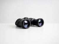 Small Cap Quality Over Size