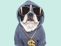 SDOG: More Perks With a High Dividend ETF