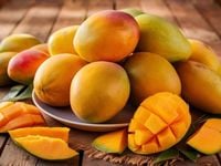 From Tech Giants to MANGOS