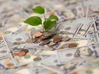 Less Chatty Fed Could Be Beneficial for BNDI