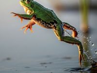 Could the U.S. Be the Frog in the Pot?