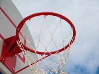 Bitcoin's Rebound Reflects Rate Sensitivity, Not a Policy Pivot