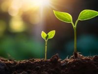 Active ETF TSPA Doubles AUM YTD Amid Growing Attention