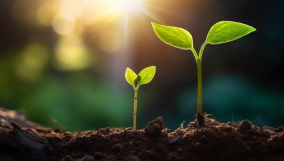 Active ETF TSPA Doubles AUM YTD Amid Growing Attention