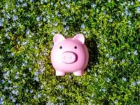 Avert Interest Rate Jitters With This Cash ETF