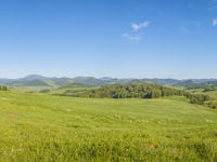 The Changing Landscape of Commodity ETFs